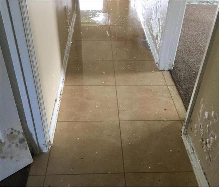 Hallway with Mold on doors 