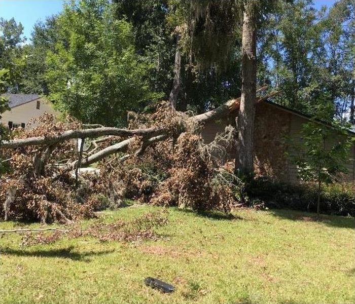 Tree fell over house 