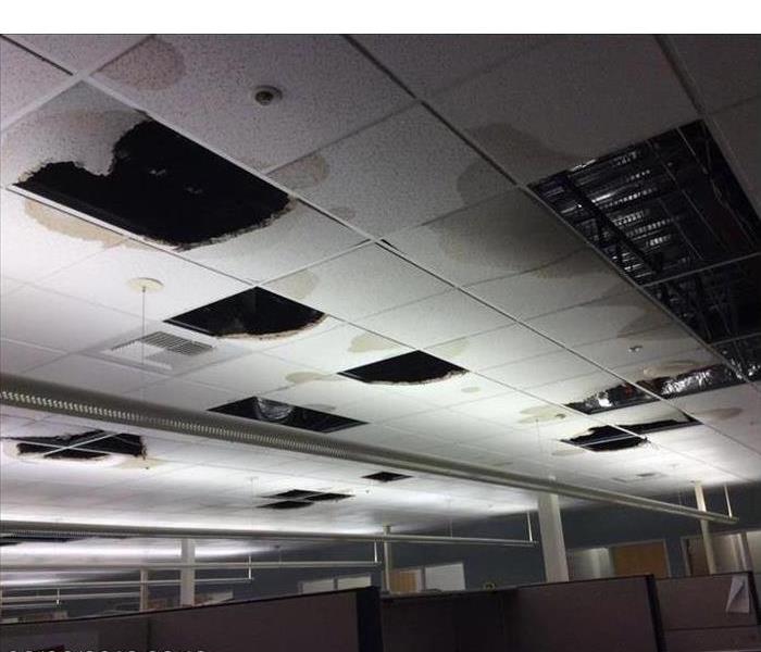 Ceiling falling 